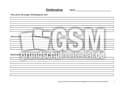 Arbeitsblatt-Streifengans-3.pdf